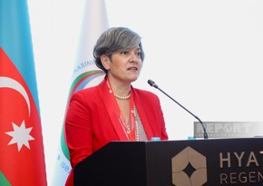 Council of Europe official: One in three women in the world is subjected to violence