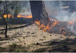 Wildfires in Ismayilli and Shabran extinguished – UPDATED 