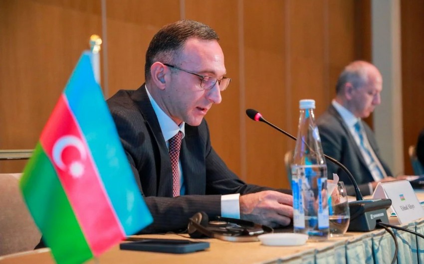 Elshad Aliyev represents Azerbaijan at 6th meeting of OTS diaspora agencies in Tashkent