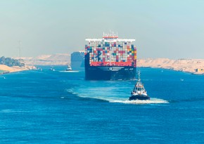 Egypt Suez Canal monthly revenue losses at around $800 million, Sisi says