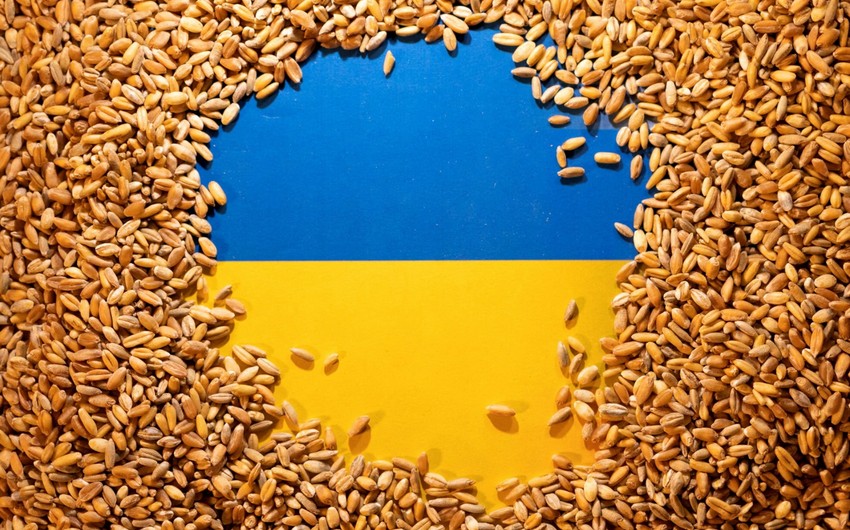 ЕК продлила запрет на поставки украинского зерна до 15 сентября