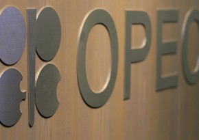 Report: OPEC’s outlook for next 22 years contributes to increase in oil price - ANALYSIS