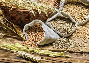 Турция и Россия определяют список стран для экспорта зерна и удобрений