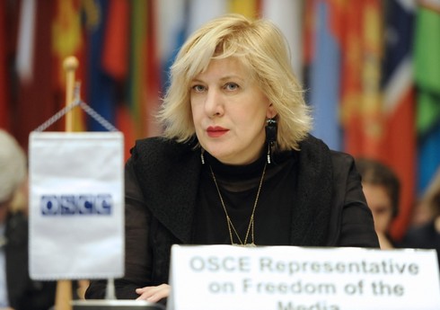 Дунья Миятович призвала очистить освобожденные территории Азербайджана от мин