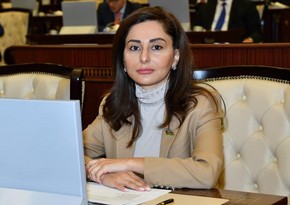 Депутат на международном мероприятии рассказала о фашистской идеологии в Армении
