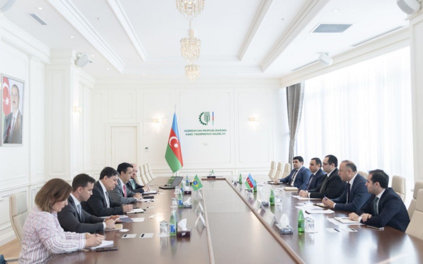 Azerbaijan eyes expanding exports of agricultural products to Brazil
