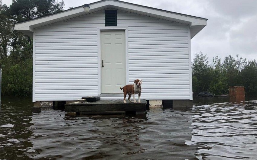 Число жертв тропического циклона Флоренс в США возросло до 20