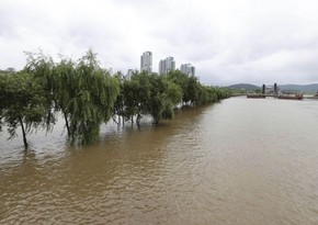 В Бразилии число жертв ливней и наводнений превысило 160