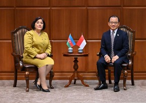 Azerbaijan and Singapore parliament speakers discuss co-op within int’l organizations