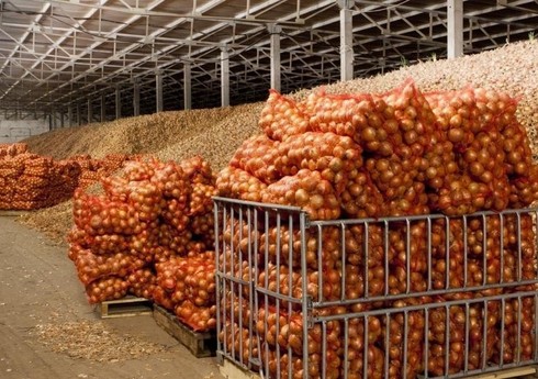 Азербайджан в январе экспортировал в Грузию 1,6 тыс. тонн лука