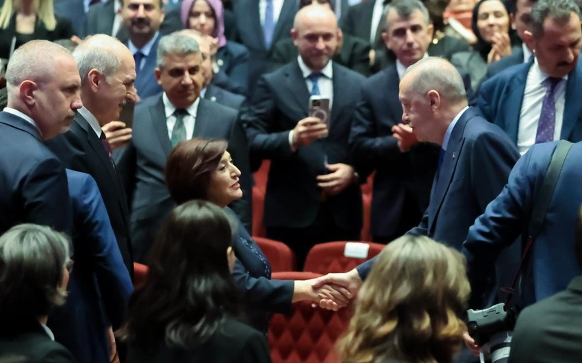 Azerbaijani Speaker Sahiba Gafarova meets with Erdogan in Ankara