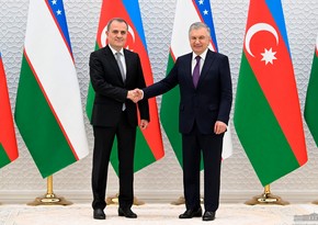 Azerbaijani FM meets Uzbek president