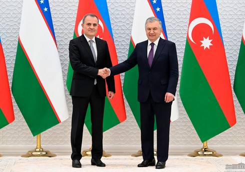 Глава МИД Азербайджана встретился с президентом Узбекистана