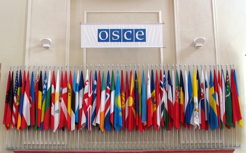 Sweden presents 2021 priorities to OSCE Permanent Council 