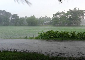 Azerbaijani regions where heavy precipitation fell announced