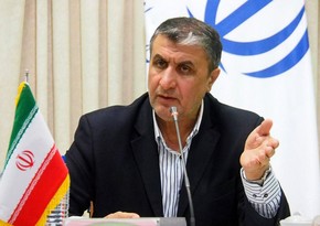 AEOI chief: Talks between Tehran, head of IAEA were constructive