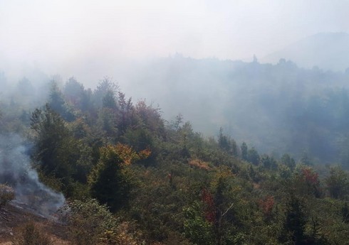 В Габале в горной местности начался пожар