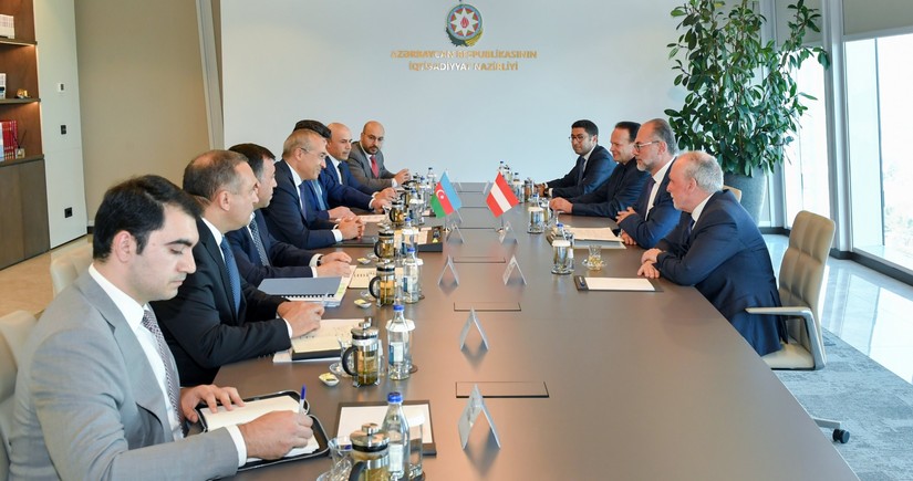 Азербайджан обсудил с Австрией реализацию совместных промышленных проектов