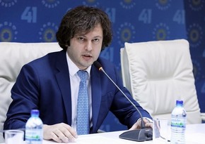 Премьер Грузии предложил дебаты выступающей против закона об иноагентах молодежи