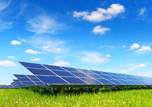 Производство солнечной электроэнергии в Азербайджане выросло на 15%