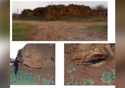 В Билясуваре проводится археологическое исследование курганов Yedditəpə
