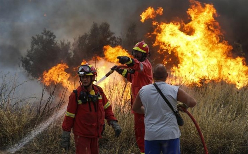 Yunanıstanda meşə yanğınları nəticəsində ölənlərin sayı 74-ə çatıb, 160 nəfər yaralanıb - YENİLƏNİB-4