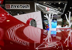 Парламент Болгарии одобрил постепенное сокращение закупок из РФ для НПЗ ЛУКОЙЛ 