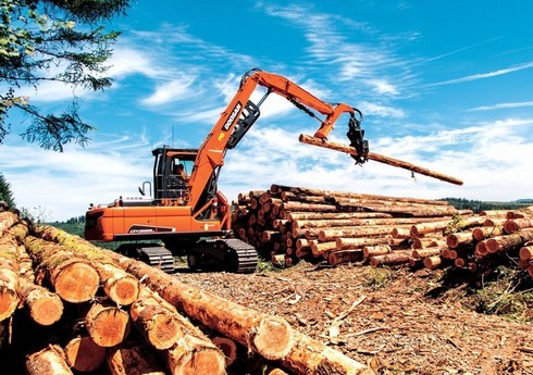 Россия увеличила экспорт лесной продукции в Азербайджан на 20%