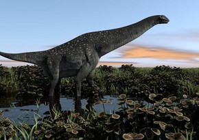 Argentine titanosaur could be the oldest ever found