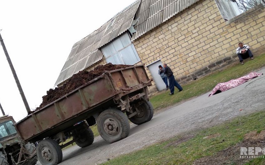 Zaqatalada məktəbdən çıxan şagirdi traktor vuraraq öldürüb - FOTO