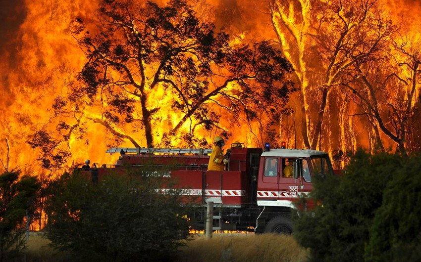 В Австралии из-за лесных пожаров полностью сгорел небольшой город