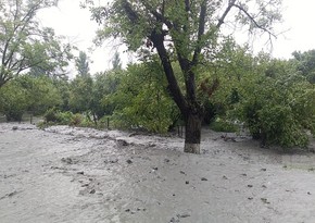 Zaqatalanın kəndləri sel suları altında qalıb, magistral yol bağlanıb