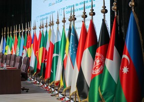 OIC Executive Committee convenes extraordinary meeting on October 18