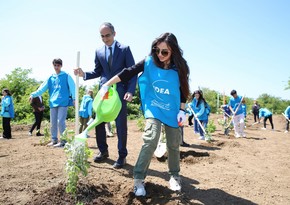 Лейла Алиева приняла участие в экологических акциях, посвященных 100-летию великого лидера