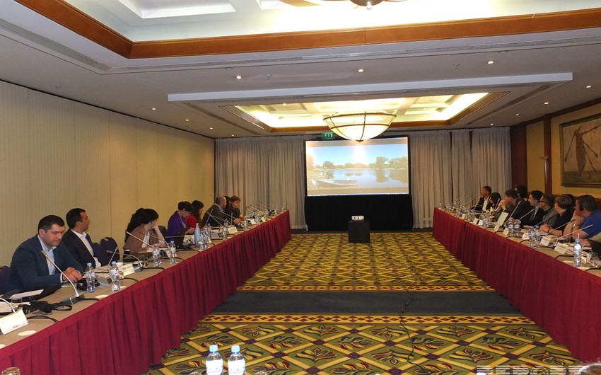 На международной конференции в Тбилиси состоялась презентация проекта, реализованного в Азербайджане
