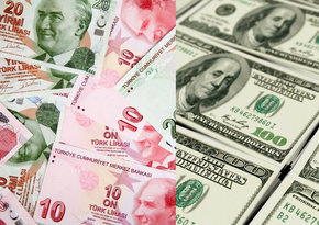 Турецкая лира обновила исторический антирекорд к доллару США