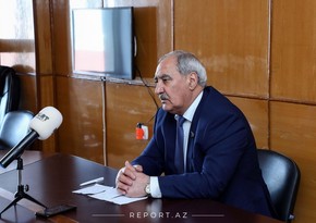 Депутат Фазаил Агамалы: Эльданиз Салимов превысил свои полномочия