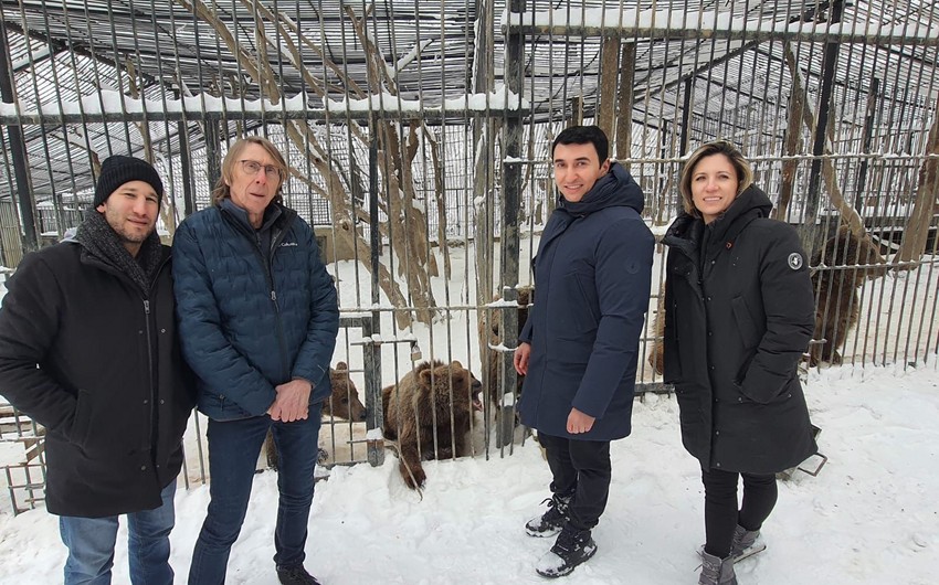 Israeli expert examines 10 brown bears in Altiagac sanctuary