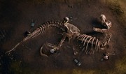 Paleontologists discover new predatory dinosaur in Kyrgyzstan