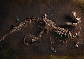 Paleontologists discover new predatory dinosaur in Kyrgyzstan