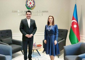 Azerbaijani MFA spokesperson meets with Iranian ambassador