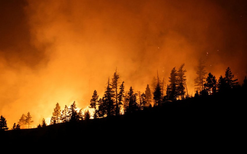 Thousands flee western Canadian town as wildfires spread