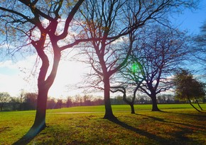 Azerbaijan weather forecast for November 1