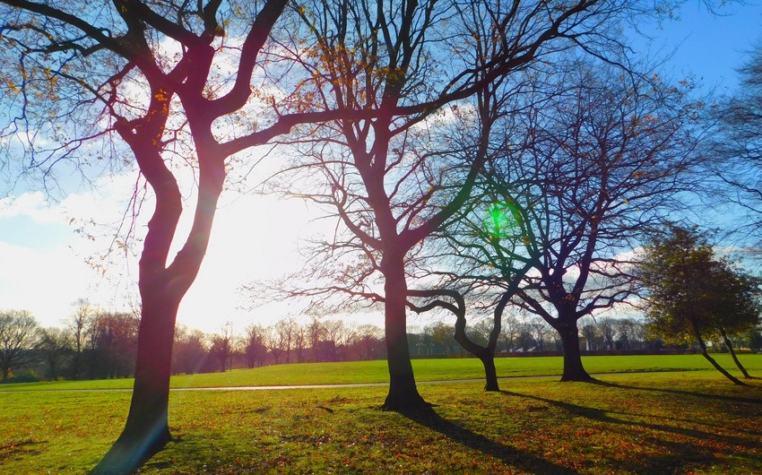 Azerbaijan weather forecast for November 1