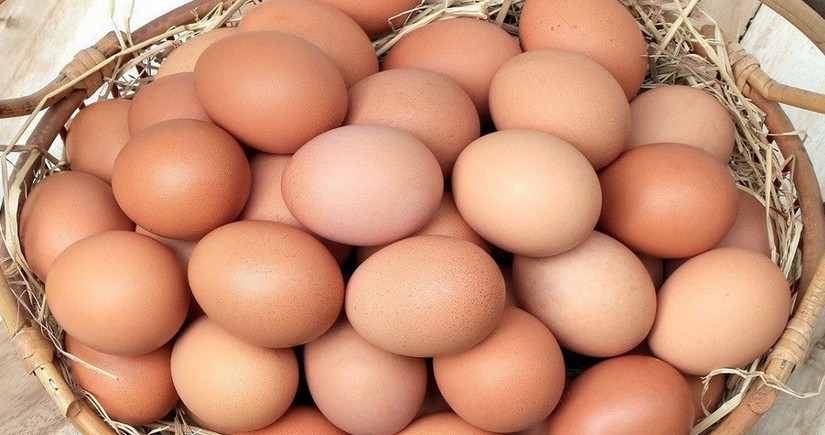 Azərbaycan əsas tədarük bazarına yumurta ixracını kəskin artırıb