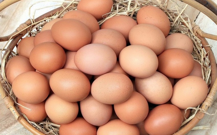 Азербайджан увеличил экспорт яиц в 2,5 раза