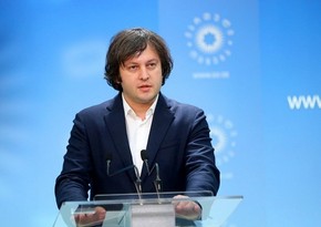 Кобахидзе: Более 80 процентов населения Грузии выступают за прозрачность иностранного влияния
