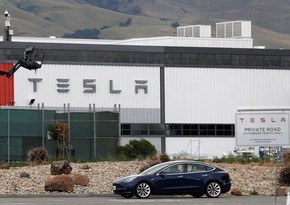 Tesla подала иск против индийской компании 