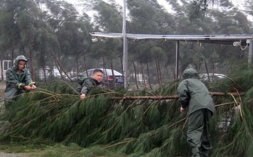 Число жертв тайфуна Мучжигэ в КНР достигло 19 человек
