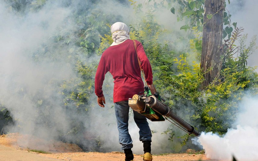Число жертв лихорадки денге на Шри-Ланке превысило 300 человек